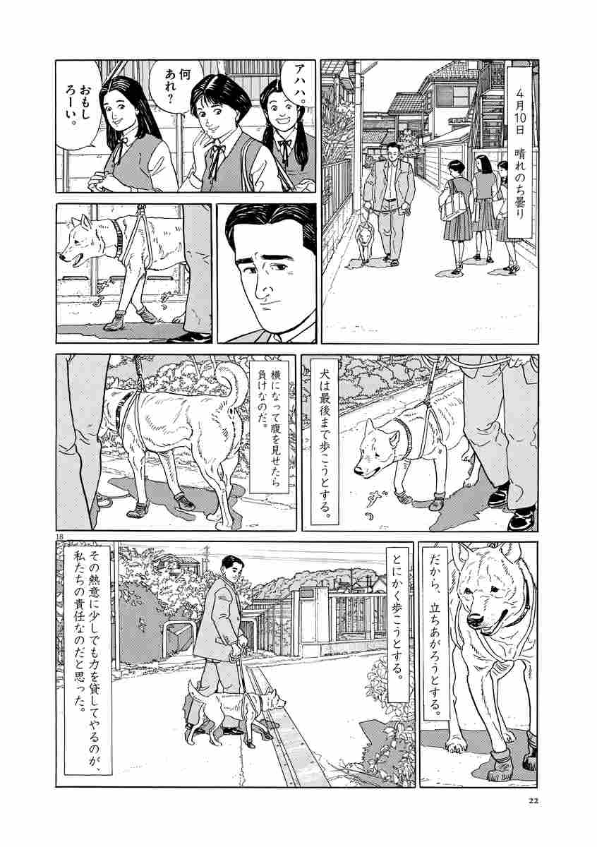 犬を飼う そして 猫を飼う 谷口ジロー 試し読みあり 小学館コミック